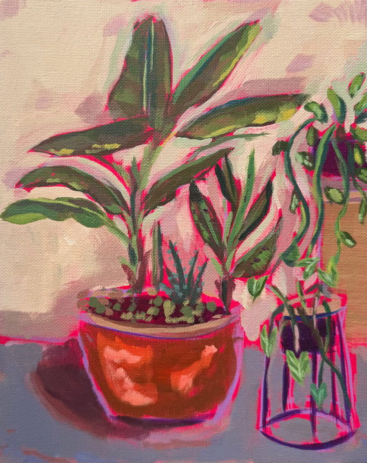 Two potted plants on a surface with a colorful, abstract background hot pink painting 