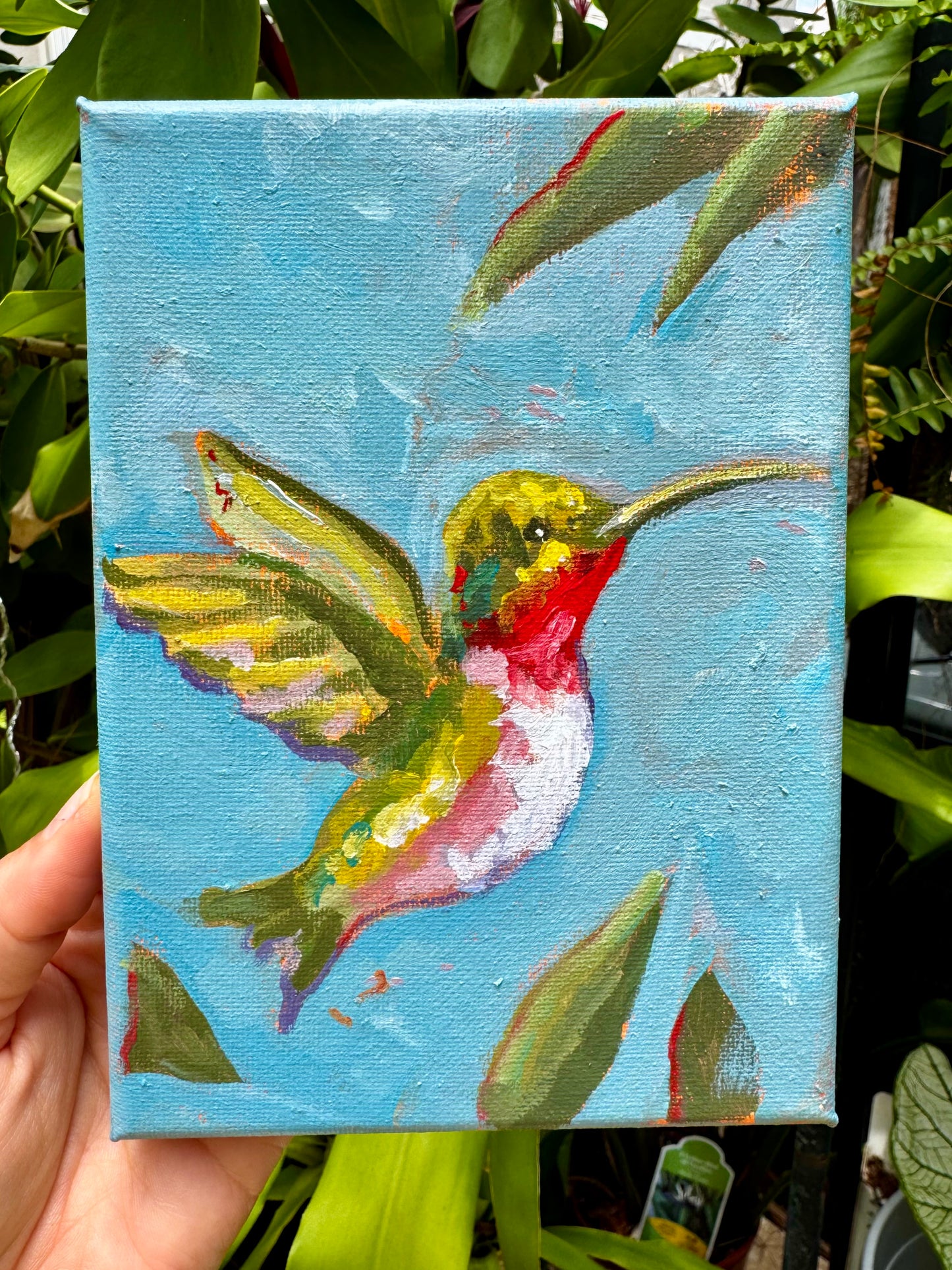 Humming Bird Original Painting 5x7