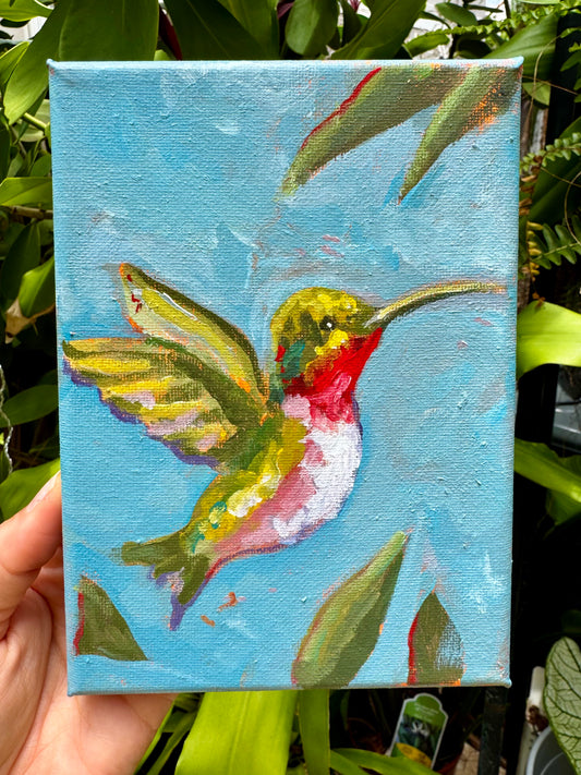 Humming Bird Original Painting 5x7