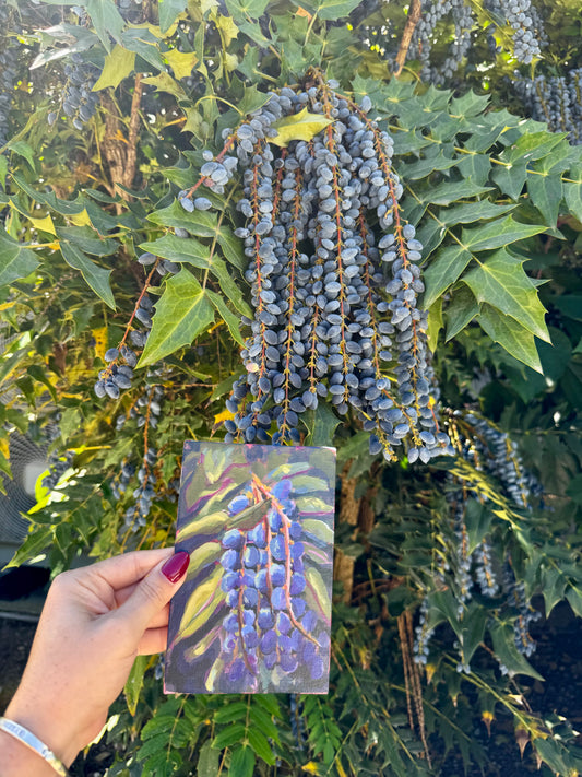Hand holding a painting of blue berries against a backdrop of actual blueberries on a plant.