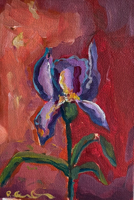 Iris In Provence - 4x6 Original Painting